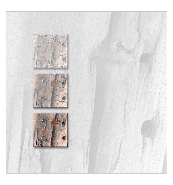 DSF4729lithGestauchtBWLightPlus3