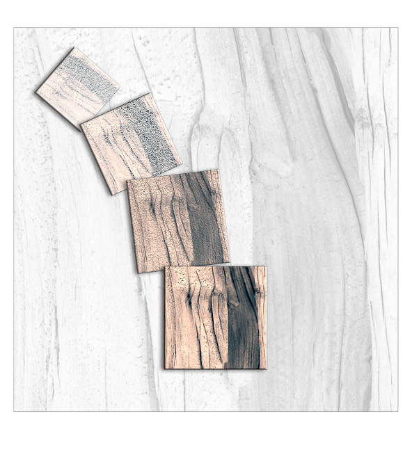 DSF4732lithmat5Cailloux