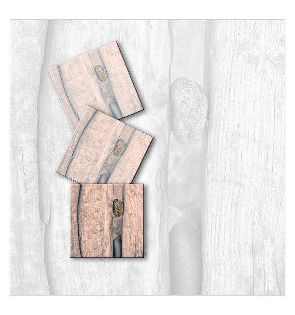 DSF4770lith4relief