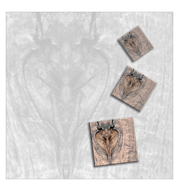 DSF4839lithCOLORGreySchied