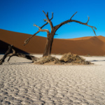 Sossusvlei