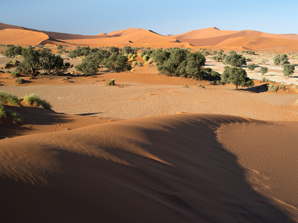 Sossusvlei