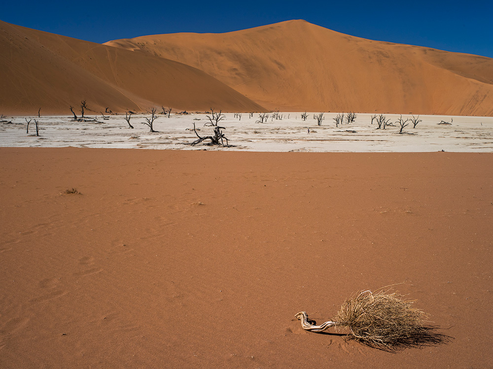 Sossusvlei