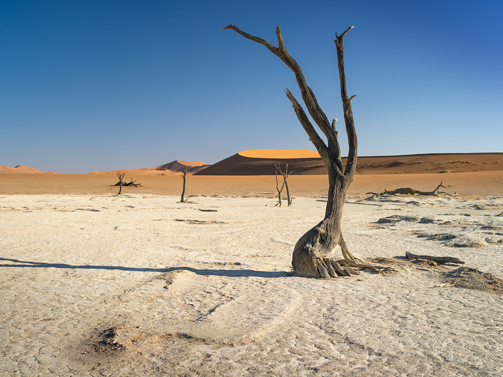 Sossusvlei