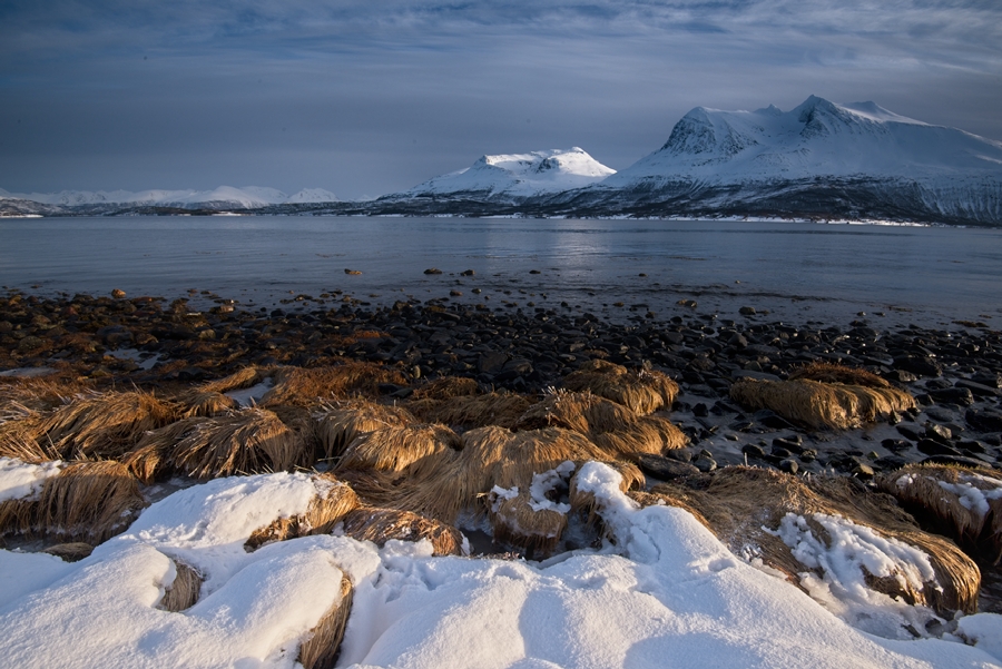 From Tisnes to Sommarøya 8 Kvaløya – South