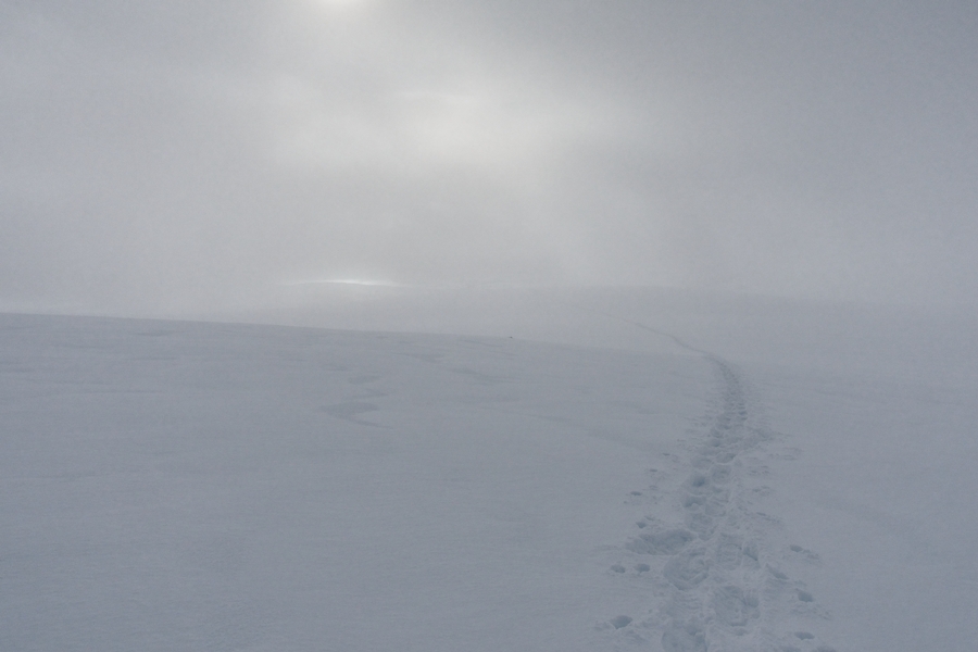 20190316Kvaloya 5DS2198