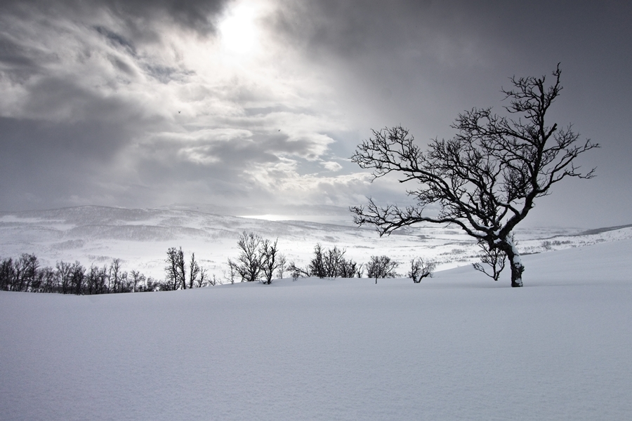 20190316Kvaloya DSC9880