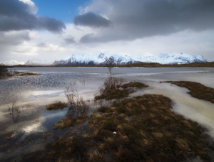 Lofoten 1769 658x500