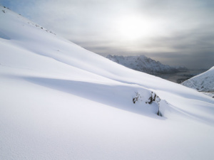 Lofoten 2128 668x500