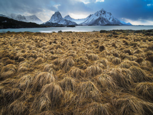 Lofoten 2406 668x500