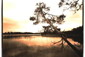 Lithprints von finnischen Landschaften