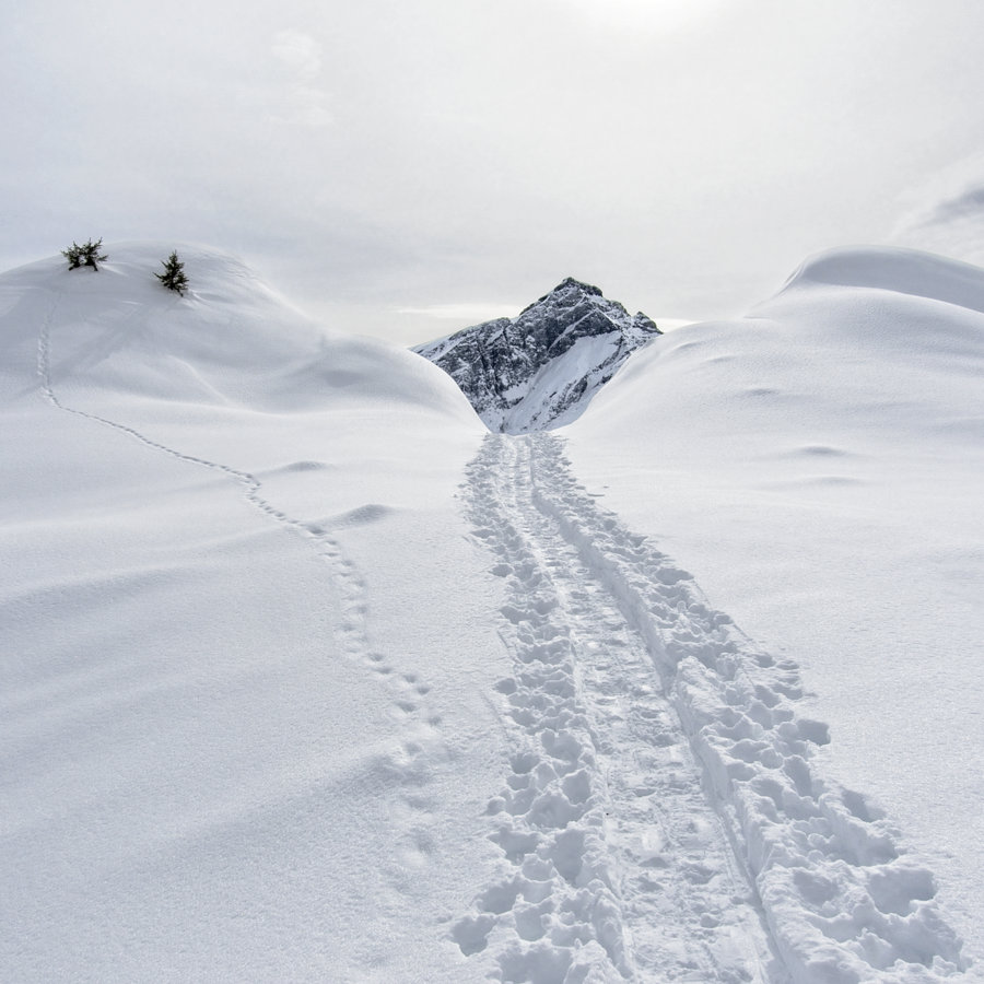Hiver aux Grisons (Suisse) 2021 8 20210215 135849_5DS7545