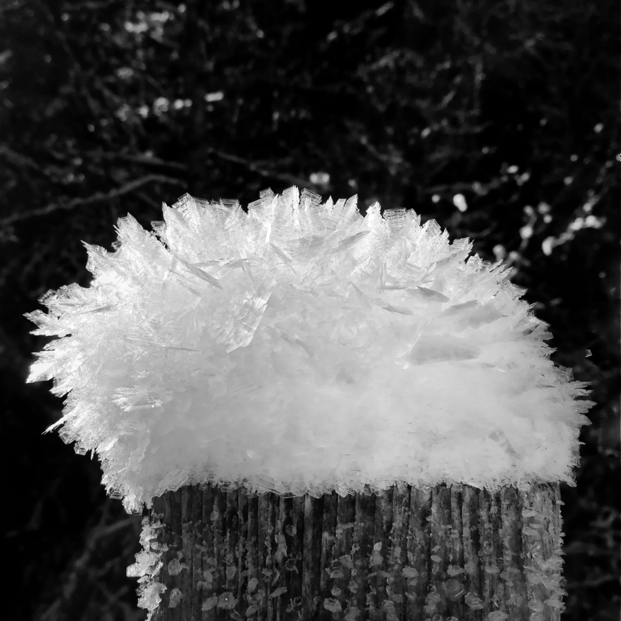 Hiver aux Grisons (Suisse) 2021 3 IMG_20210110_112253