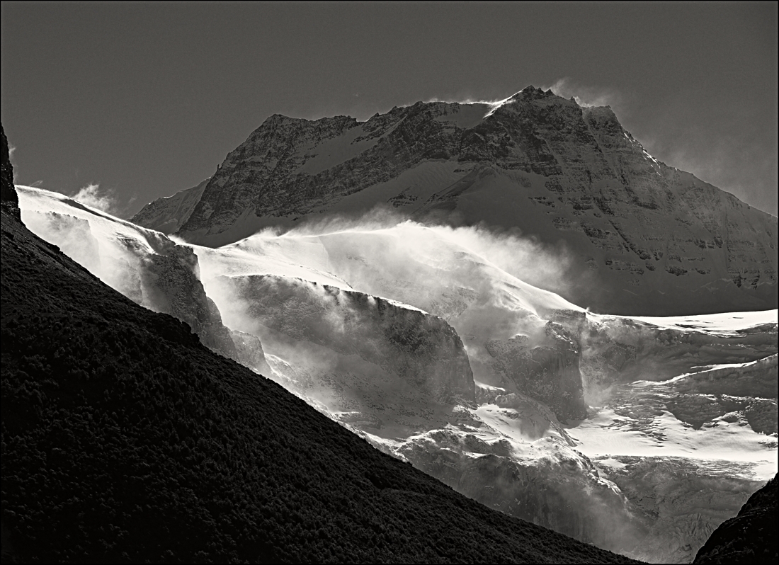 20180319_160100__NIK2554 NIKCRT