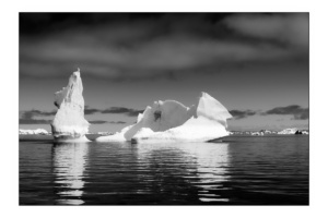 Icebergs in Disko Bay