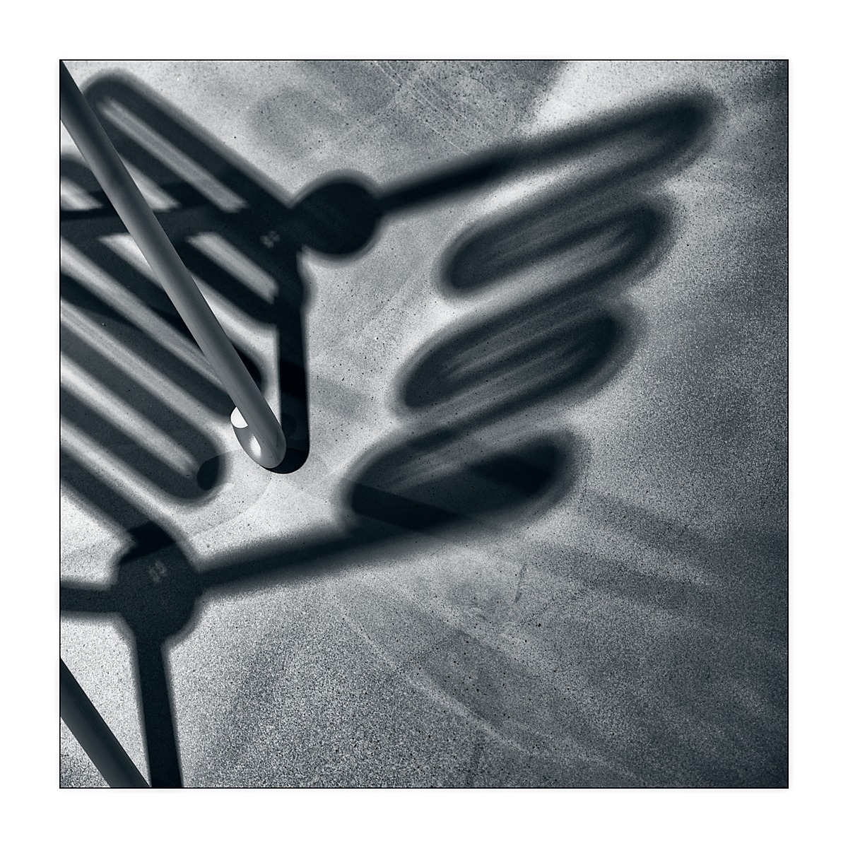 20220804_183616_NIK4072