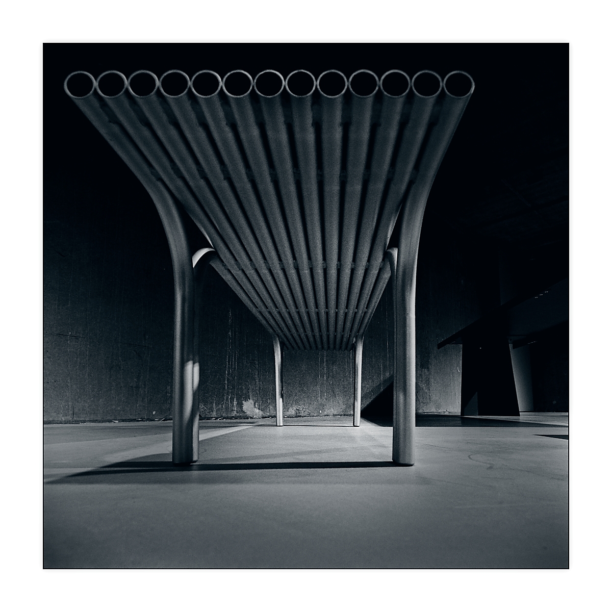 20220804_184020_NIK4081