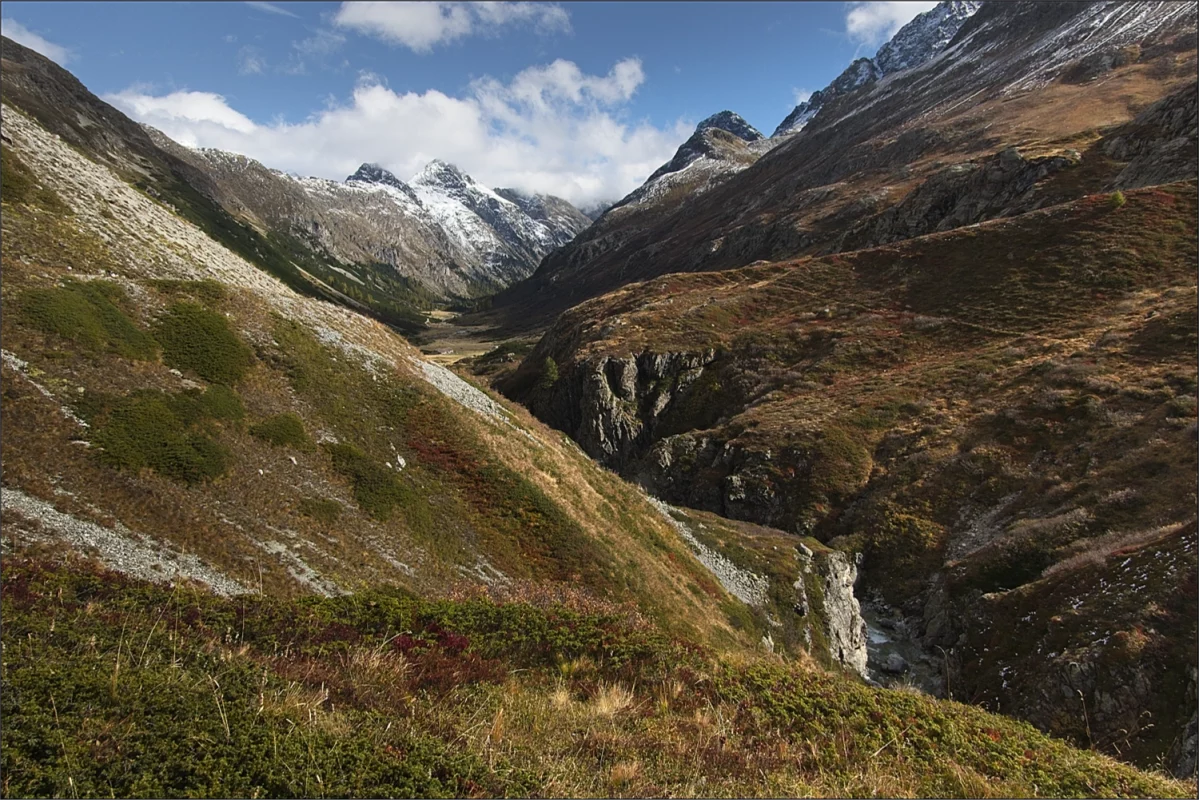 Zwischen Alp Suvretta und Alp Val