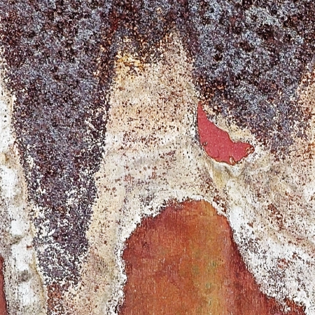 Wirtsch Thumbnail MiRe Bis